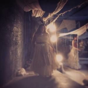 Meet your Posher, Mackenzie